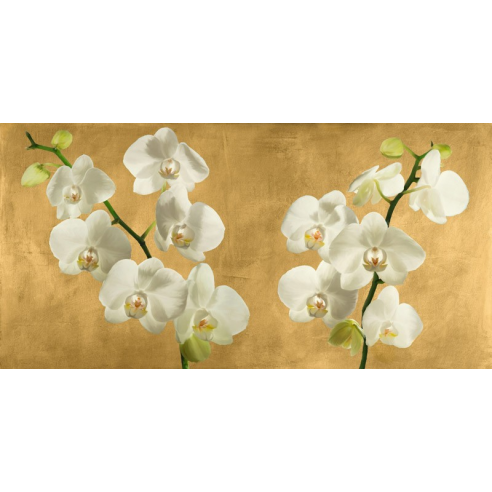 Orchids on a Golden Background