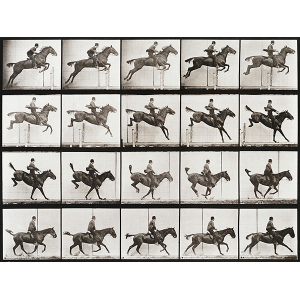 Eadweard Muybridge | Posters and canvas prints | Selected Artworks